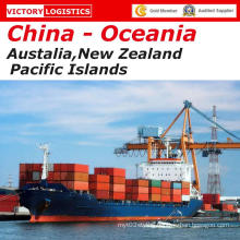 Shipping Container/Freight Forwarder/Ocean Shipping From China to Oceania